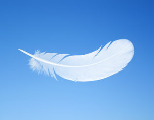 feather on the background of blue sky with space for text